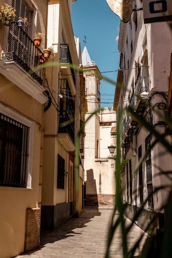 La Juderia Del Buen Viaje Daire Sevilla Dış mekan fotoğraf